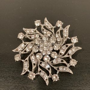 Beautiful sparkling brooch